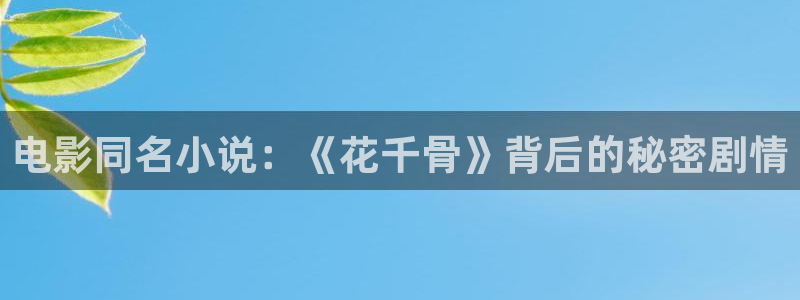 飘花电影怎么样